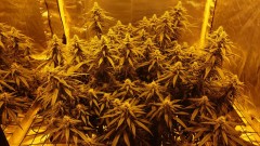 16203370382575948560940081558348