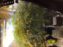 2324D16E-16AD-4EE2-9BEB-239A6A756630