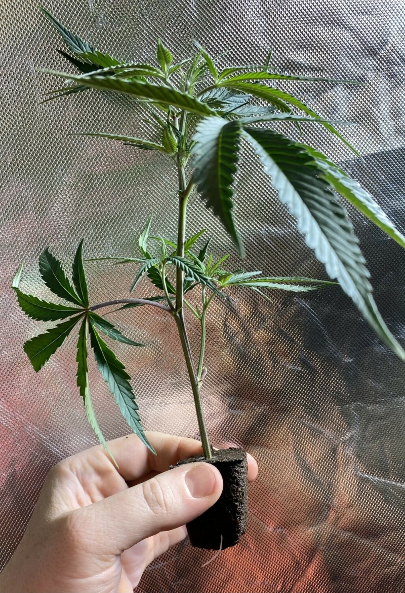 0E6A11B4-9C69-4C75-AF50-E752083F631F