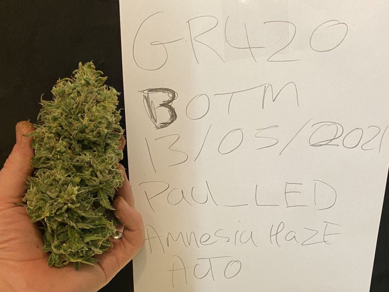 166D342D-5172-43DA-9C9E-387C8A085B68