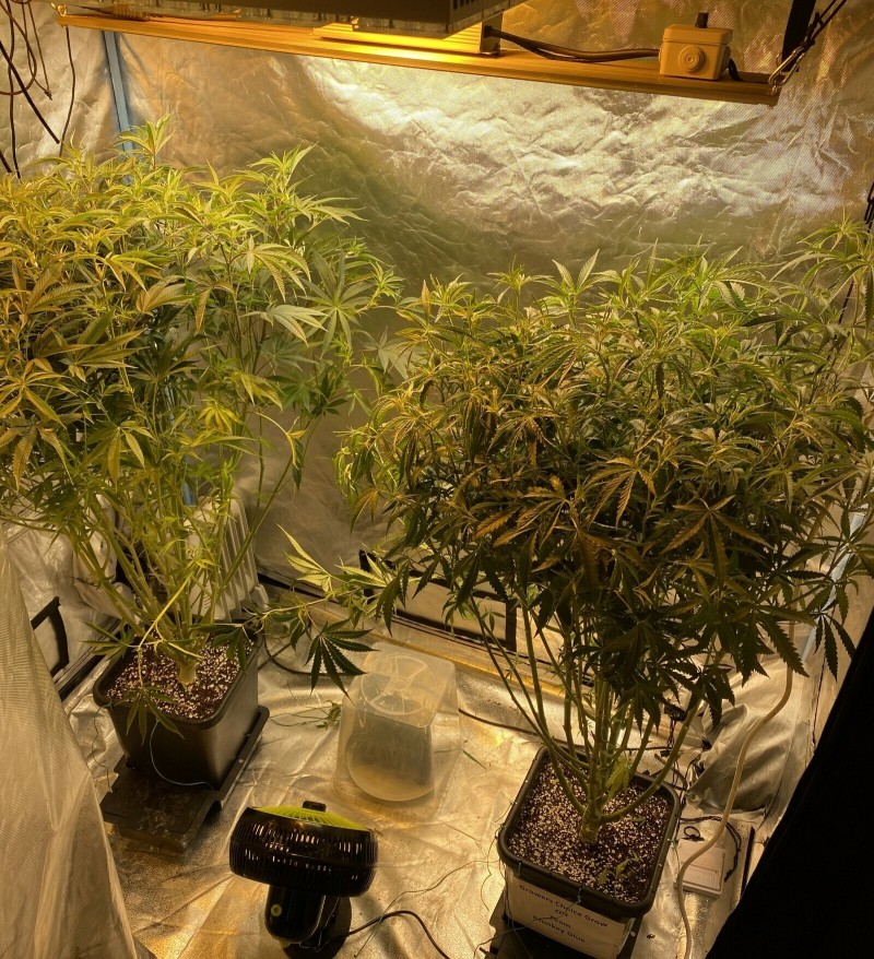 536C853E-25B1-4586-848A-50F03D0CFA19