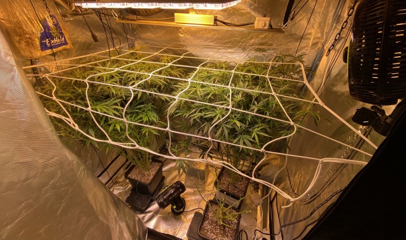 3777DB82-7FF2-4BFD-BE8F-14BB097687C0