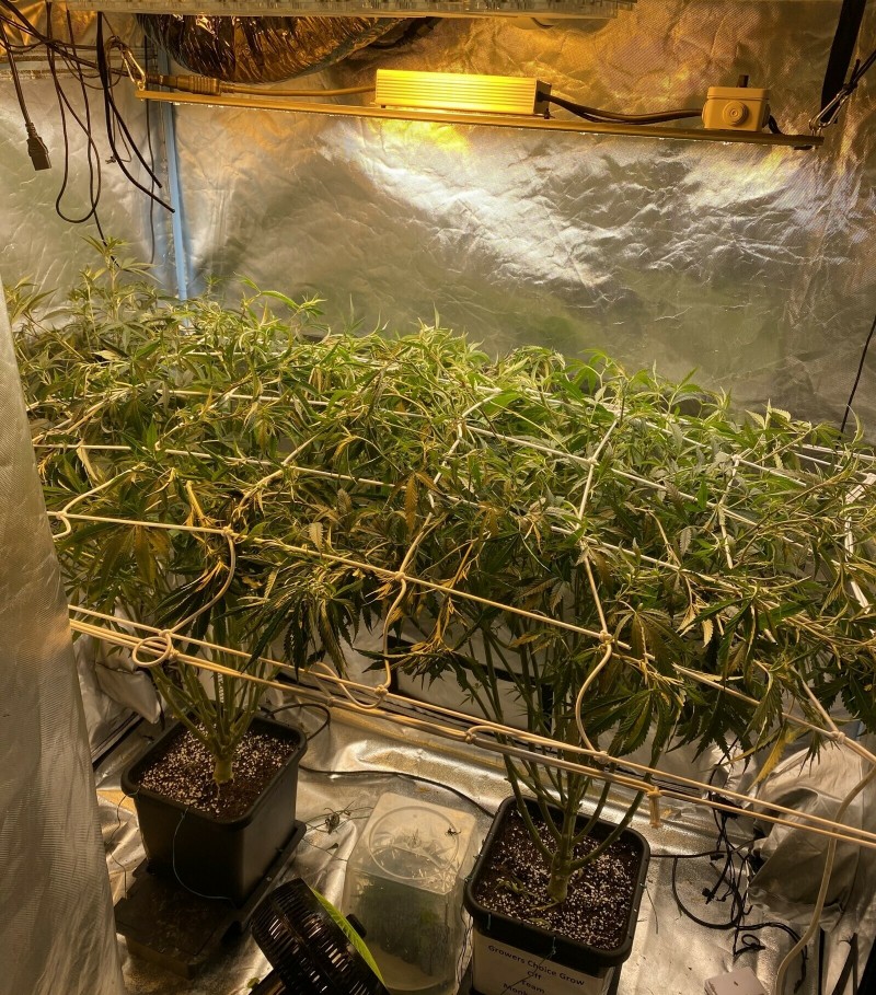 0ABF40C8-6AEE-40F1-BE0B-39752E28F9C2