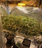 0ABF40C8-6AEE-40F1-BE0B-39752E28F9C2