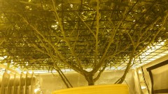 162111725949760207447194346164