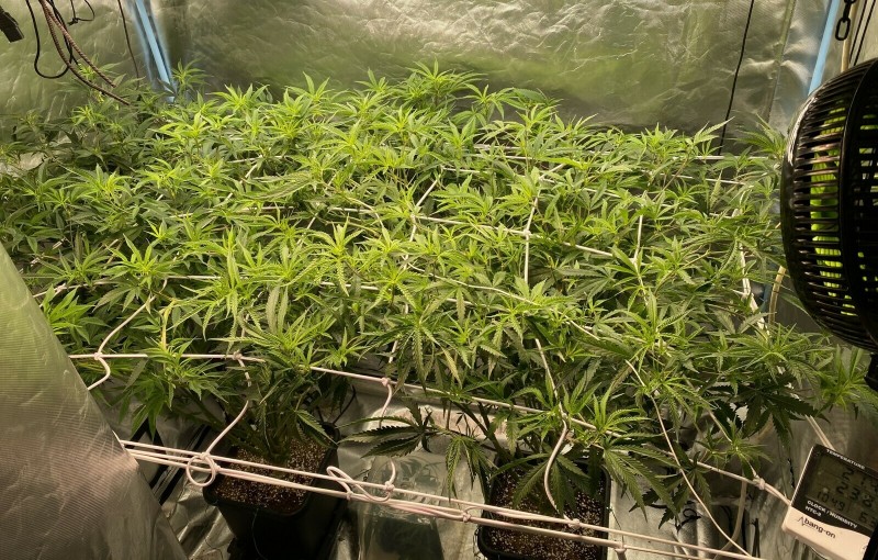 3E1A3184-596E-4648-BEE5-35F45F2DF95D