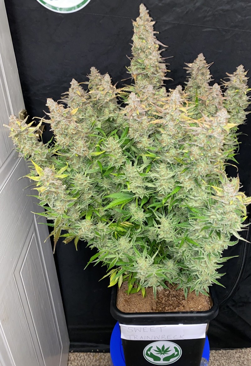 C1226FED-B3BB-4FC1-A96A-08797544B46E