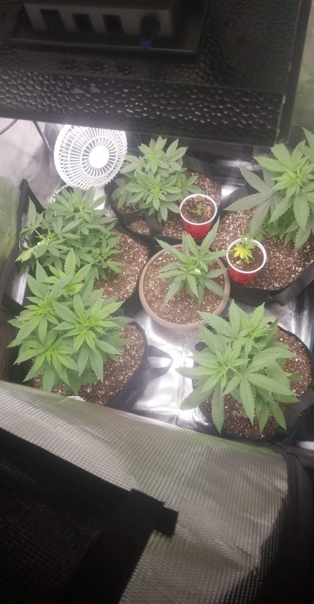 received_152024720227362