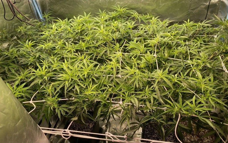 0FFDB019-0ECF-441A-AAE9-6E20C3F560F2