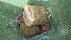 16218545304588152164929615734452