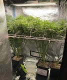 93095437-07D7-4F74-9EAC-4E7DE50863D9