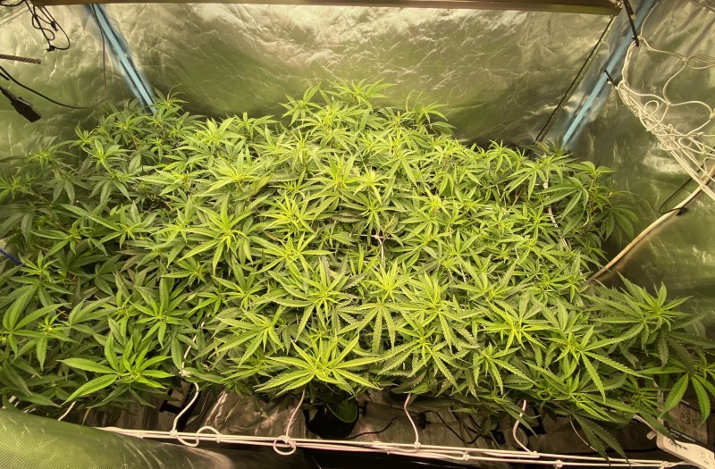 D0DE1536-B961-4705-BDB5-C4CCA03B59EC