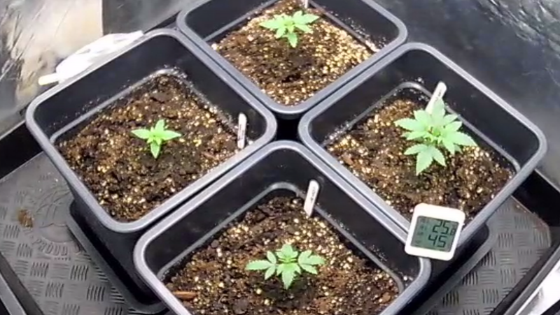 8784EA6C-A231-46AE-B8B5-A2860BDAE8C2