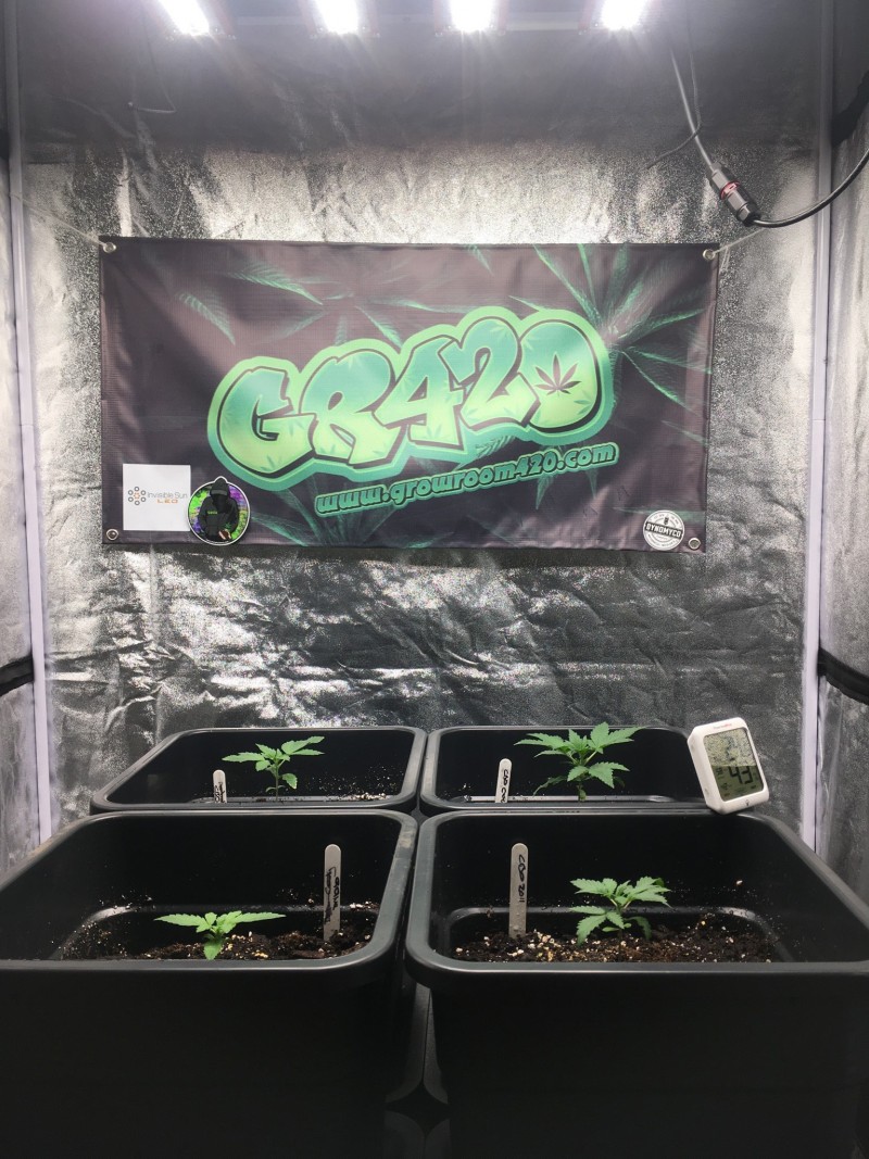 741F3129-58DD-4B67-A49D-74E8571FDCAF