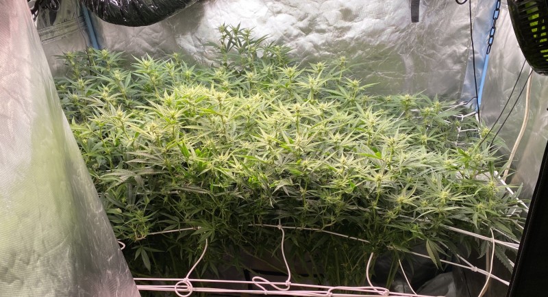 F4B300FC-329E-4E2F-89EC-0C90721186D8