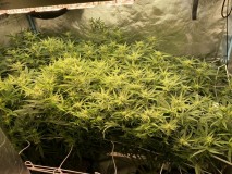 54801DA8-DA7A-4E26-9146-B6F950B880BC