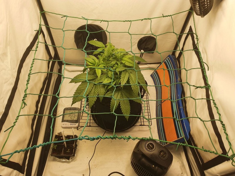 IMG_20210608_204139_418