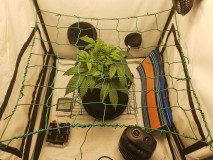 IMG_20210608_204139_418