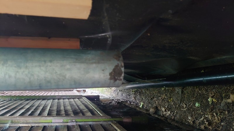 16233419295043889790936265201614