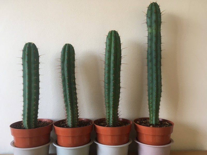 3C5FA979-90D6-4AE9-819D-BD7535434718