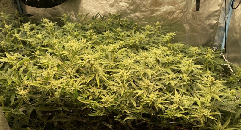 05B5A622-4F85-4461-80CA-5FA65C4D31BB