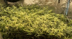 05B5A622-4F85-4461-80CA-5FA65C4D31BB