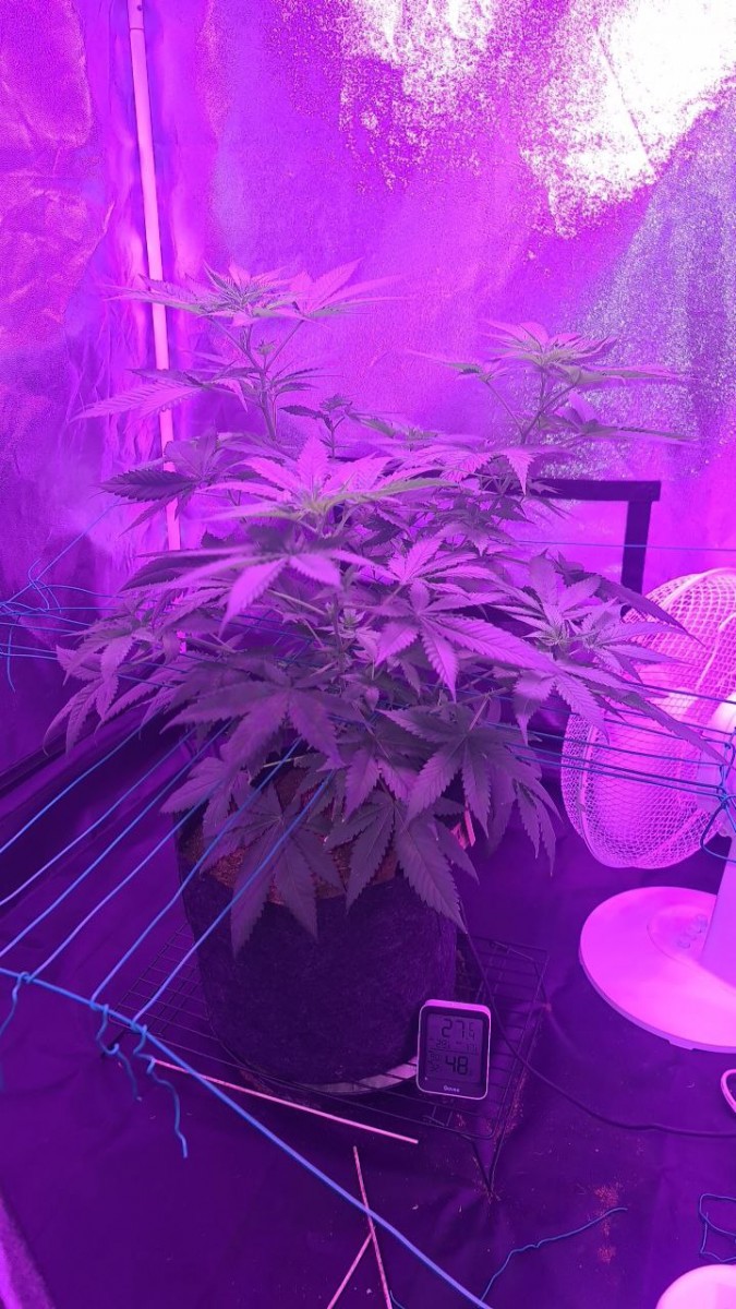 IMG_20210611_103637_792