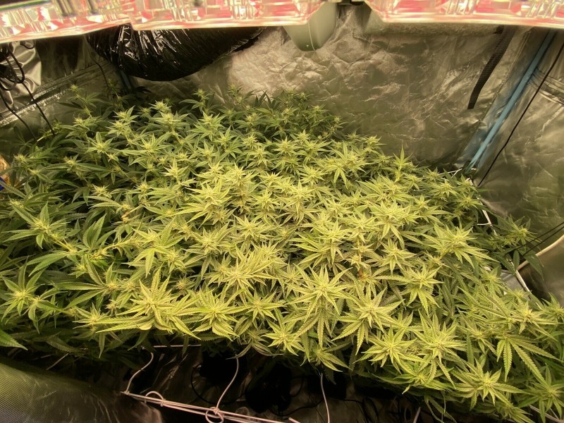 C10D6D5D-7B44-4008-87B5-2BB39C865377