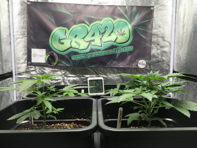 E2F990F9-DE35-463A-9882-4AAB04DD12D1