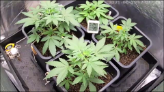 97FDD748-E21F-464E-AE32-E2B828F5C286