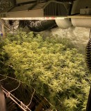 AB18E254-F656-4B4B-A5CA-4546459CDA32