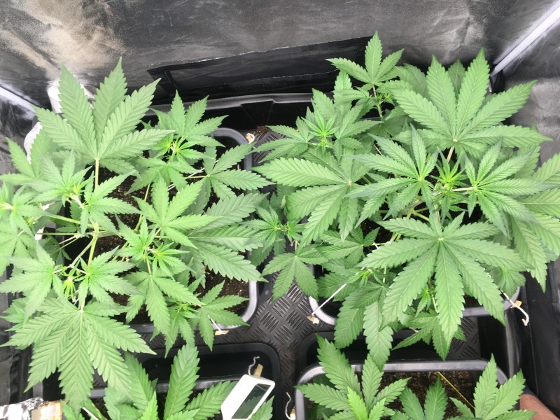 49038F20-8CF5-4B2F-A595-26A7324E0FFC