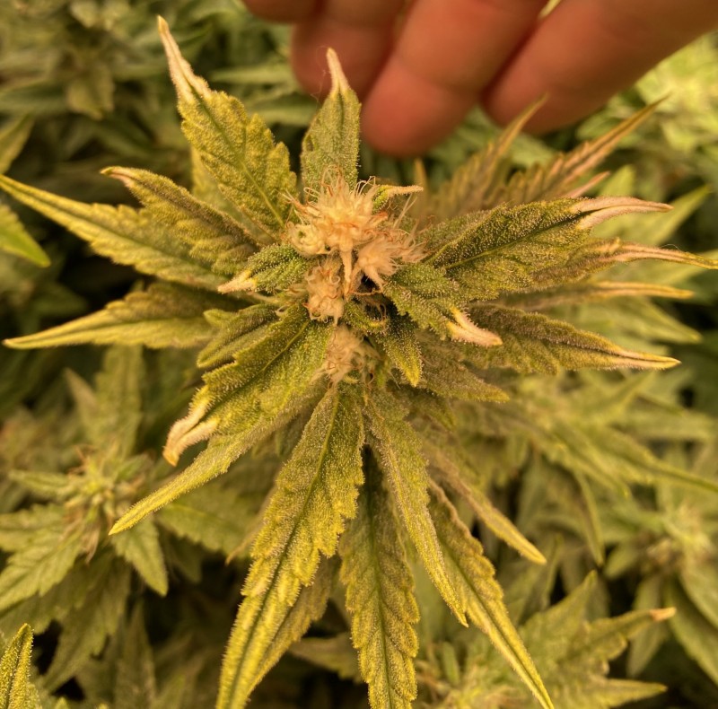 83709BAB-90DD-4DFB-A434-54EBF3D25B7F