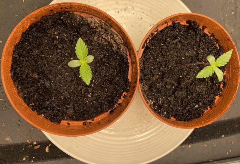 17636E50-5255-43D9-9D57-8EAA70D5676F