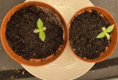 17636E50-5255-43D9-9D57-8EAA70D5676F