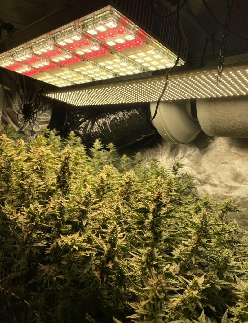 5110B5AD-391B-4BF8-90D7-D4C5D16C1EDE