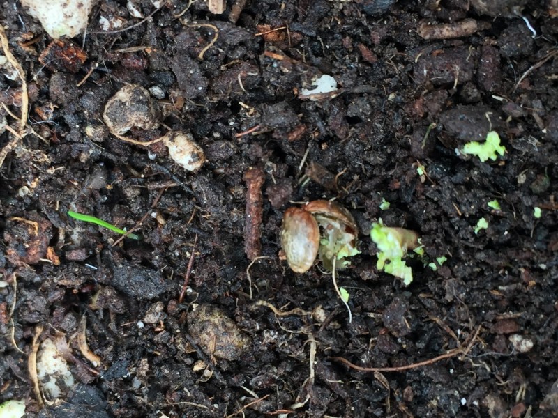 F7529DD2-F27C-4637-900D-BE6A50062720