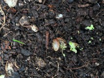 F7529DD2-F27C-4637-900D-BE6A50062720