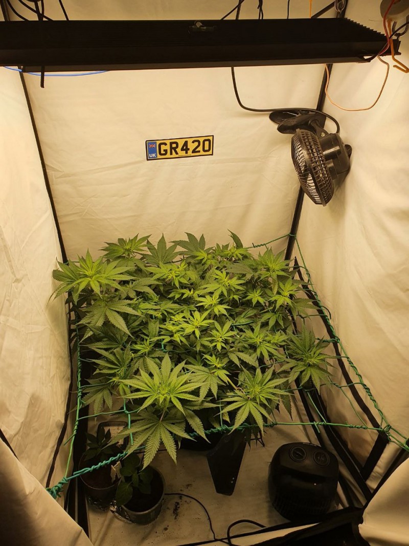 IMG_20210627_163543_446