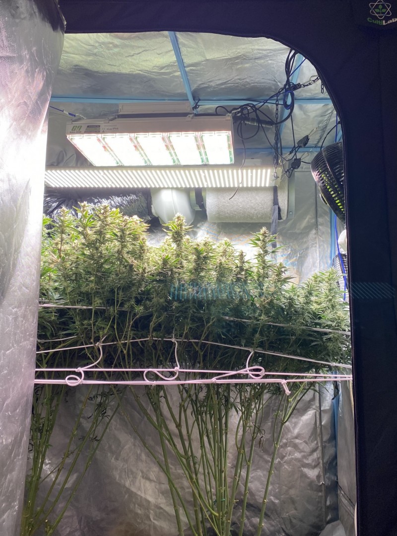 7B695A42-57FF-4849-A5C6-33845974027D