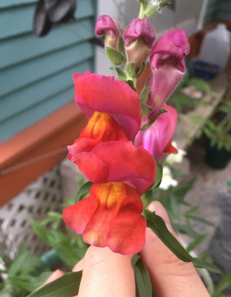 58EEE8A9-24F9-43D8-8540-71E395A3F5E6