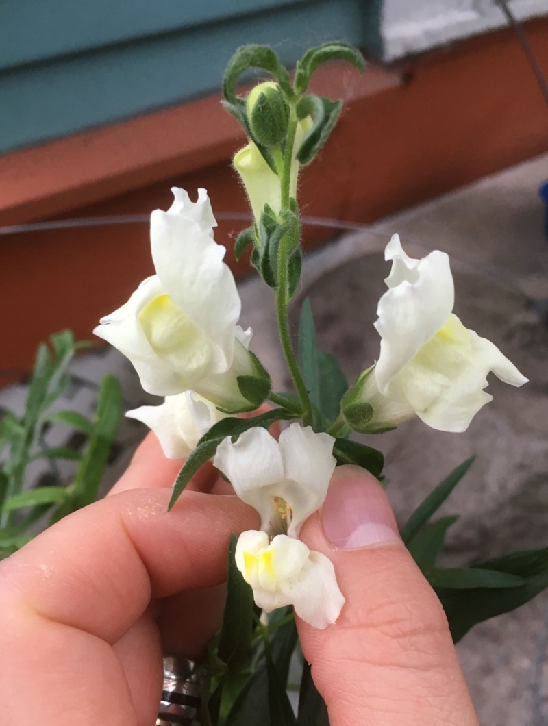 CBDF4C8B-79E0-4653-AE80-EB86C072D3CB