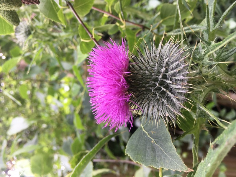 F03AA970-5B33-4E2F-897A-98F0286C71AE