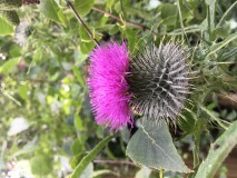 F03AA970-5B33-4E2F-897A-98F0286C71AE