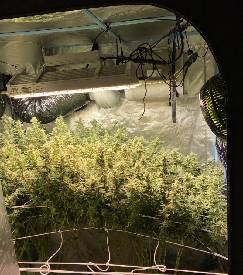 BEE05C65-8D4D-4A04-85DE-01A1AE7FD6E9