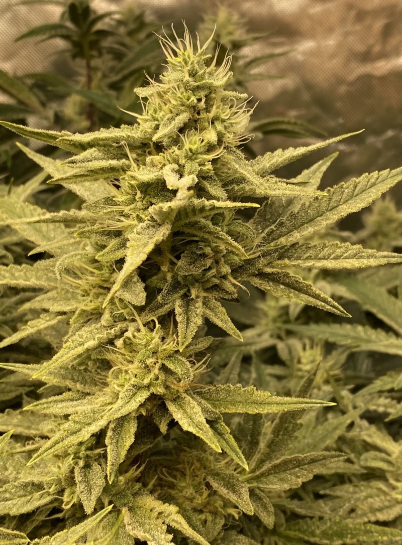 BBD46F04-F90A-4329-9754-BABC2499A261