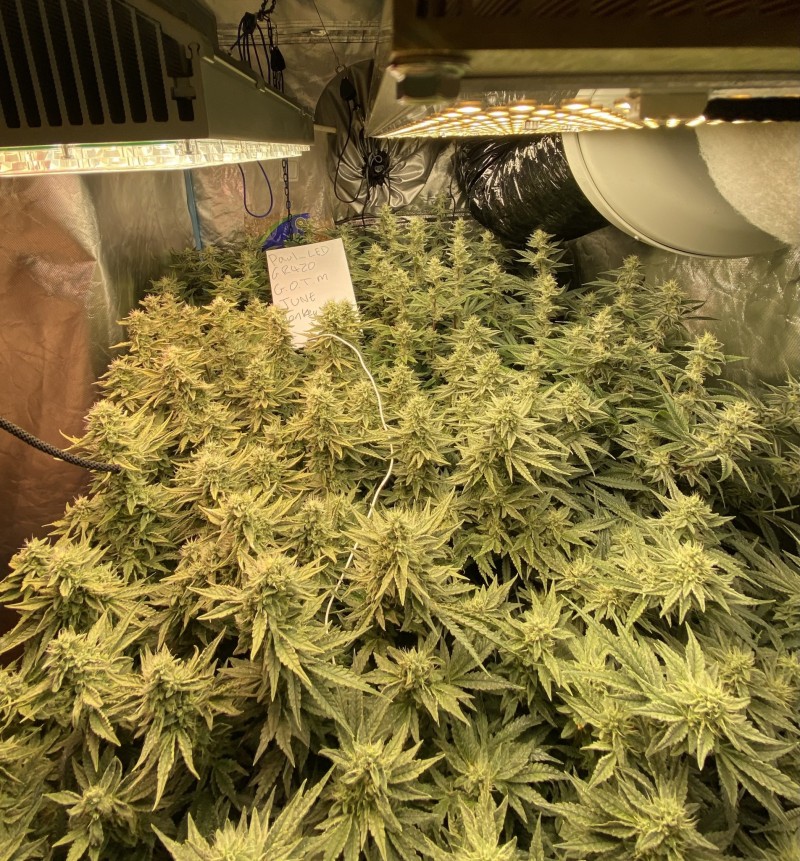 953F1436-C0FA-4C97-BAF1-5B0817064EDE