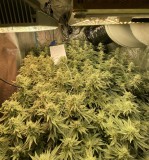 953F1436-C0FA-4C97-BAF1-5B0817064EDE