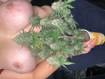 6BD8A33F-46FA-4F1E-8E34-EFEF5BD7BD0D