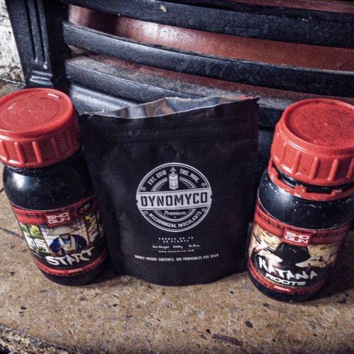 4256787_grow-journal-by-nzf710twenty20avenue-of-the-giants_m